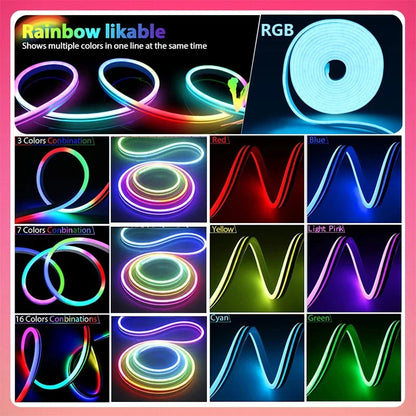 Neon Rope Light w/Music Sync